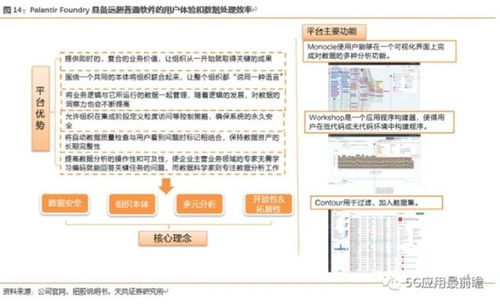 高光上市背后的Palantir 透视数据处理巨头的高毛利与高估值之谜