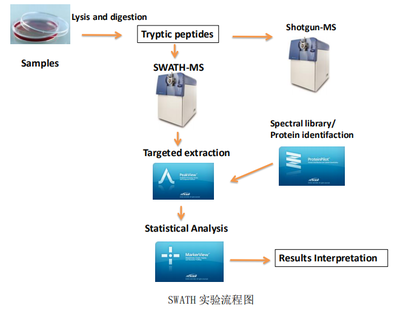SWATH 定量蛋白质组学数据处理服务